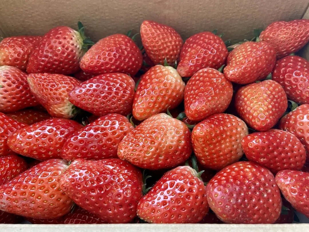 640.webp (2).jpg 640.webp (2).jpg